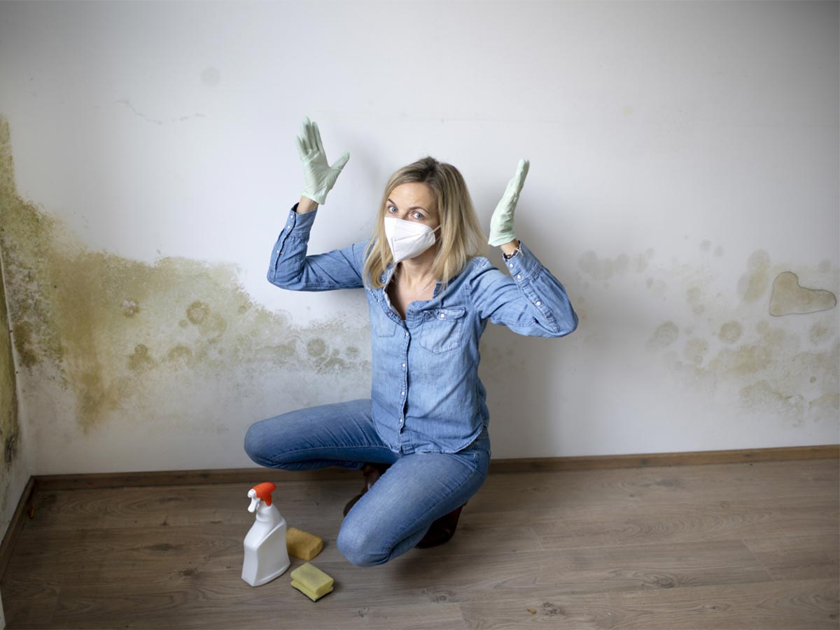 HUMITECH srl | Humitech FAQ