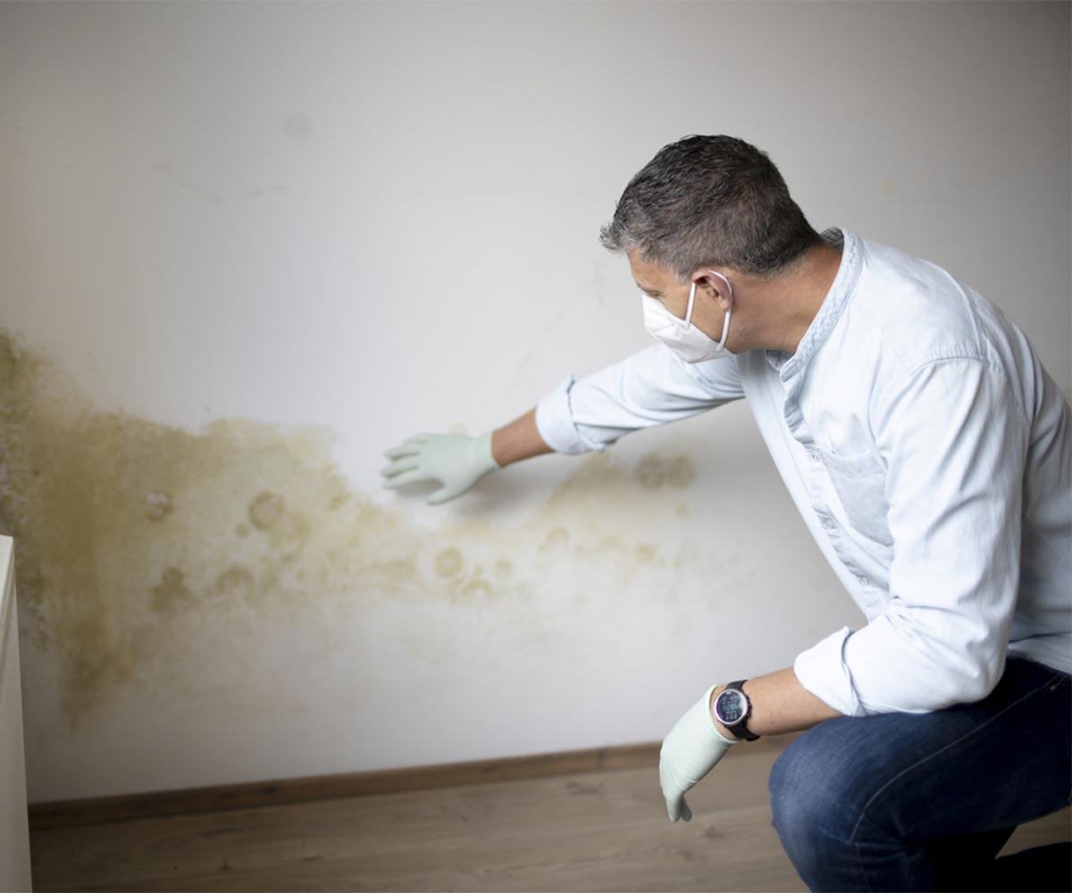 HUMITECH srl | Humitech type dune intervention